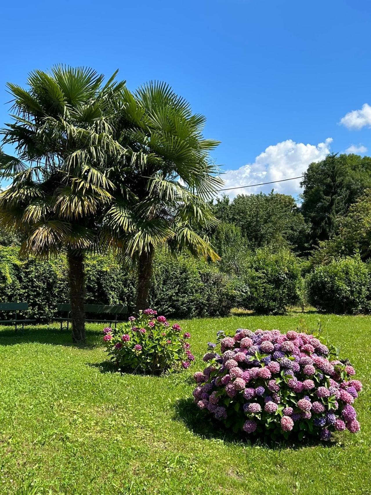 Villa Agnona Camere Боргозезія Екстер'єр фото